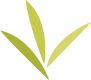 tri-county-leaf-icon@2x