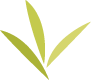 tri_county_mall-leaf-icon@2x